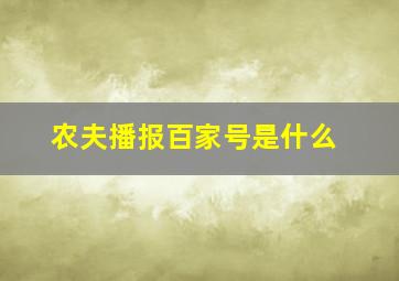 农夫播报百家号是什么