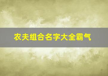 农夫组合名字大全霸气