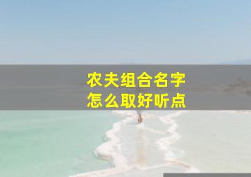 农夫组合名字怎么取好听点