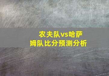 农夫队vs哈萨姆队比分预测分析