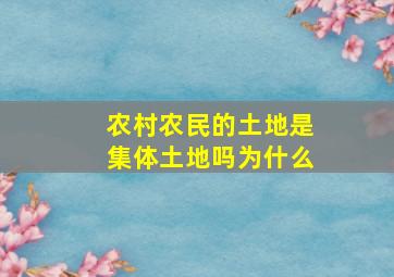 农村农民的土地是集体土地吗为什么