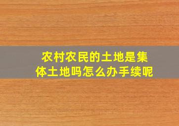 农村农民的土地是集体土地吗怎么办手续呢