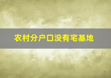 农村分户口没有宅基地