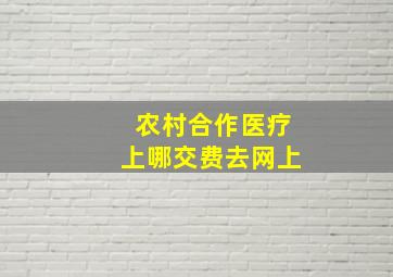 农村合作医疗上哪交费去网上