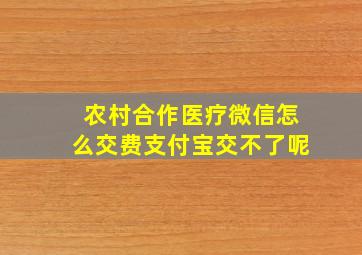 农村合作医疗微信怎么交费支付宝交不了呢