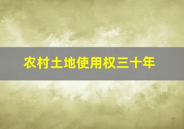 农村土地使用权三十年