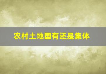 农村土地国有还是集体