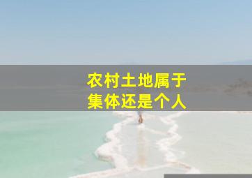 农村土地属于集体还是个人