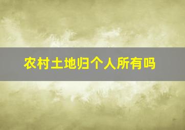 农村土地归个人所有吗