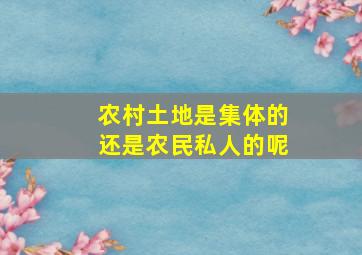 农村土地是集体的还是农民私人的呢