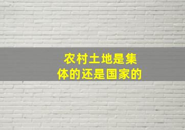 农村土地是集体的还是国家的