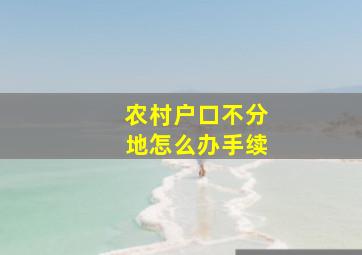 农村户口不分地怎么办手续