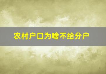 农村户口为啥不给分户