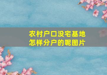 农村户口没宅基地怎样分户的呢图片