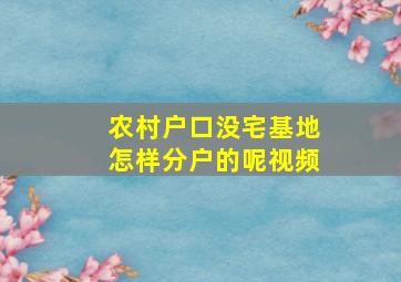 农村户口没宅基地怎样分户的呢视频