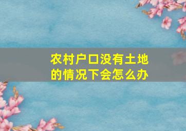 农村户口没有土地的情况下会怎么办