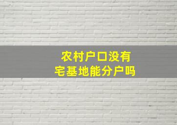 农村户口没有宅基地能分户吗