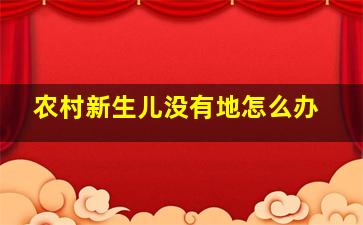 农村新生儿没有地怎么办