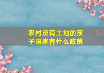 农村没有土地的孩子国家有什么政策