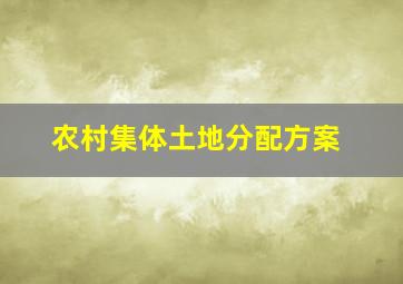 农村集体土地分配方案