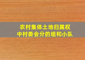 农村集体土地归属权中村委会分的组和小队