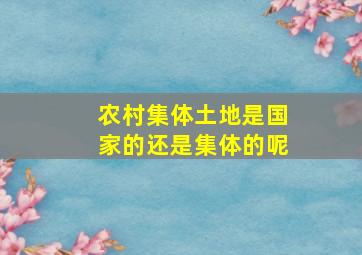 农村集体土地是国家的还是集体的呢