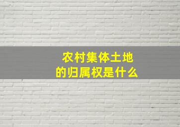 农村集体土地的归属权是什么