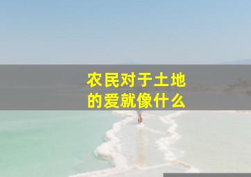 农民对于土地的爱就像什么