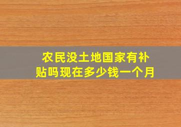 农民没土地国家有补贴吗现在多少钱一个月