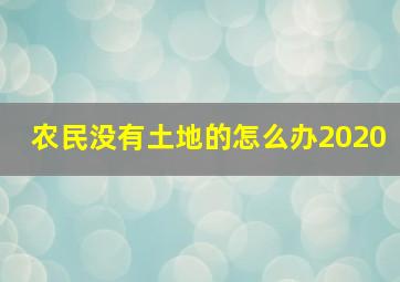 农民没有土地的怎么办2020