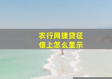 农行网捷贷征信上怎么显示