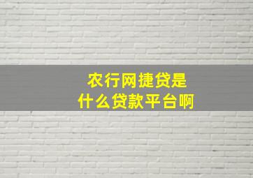 农行网捷贷是什么贷款平台啊