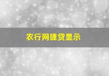 农行网捷贷显示