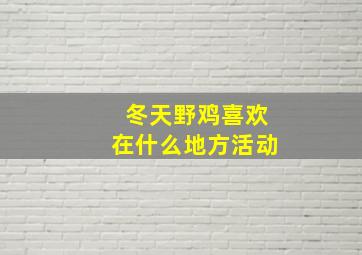 冬天野鸡喜欢在什么地方活动