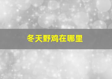 冬天野鸡在哪里