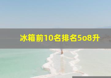 冰箱前10名排名5o8升