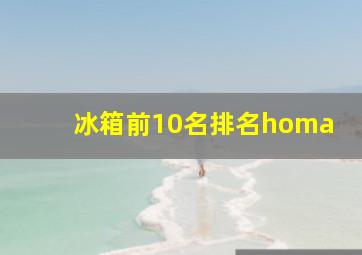 冰箱前10名排名homa