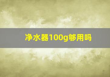 净水器100g够用吗