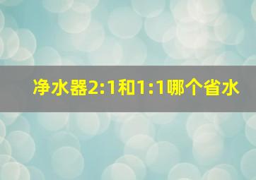 净水器2:1和1:1哪个省水