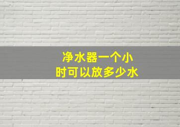 净水器一个小时可以放多少水