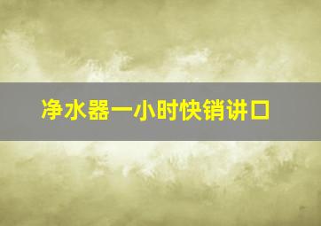 净水器一小时快销讲口