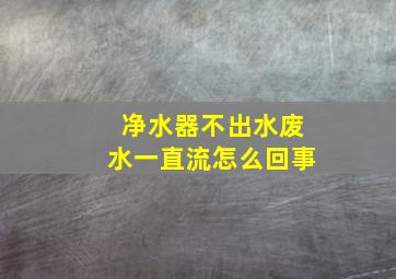 净水器不出水废水一直流怎么回事