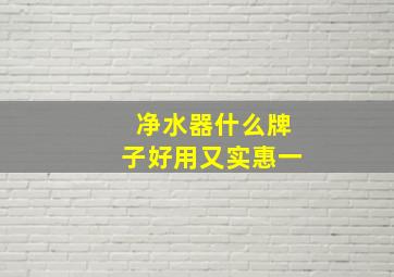 净水器什么牌子好用又实惠一