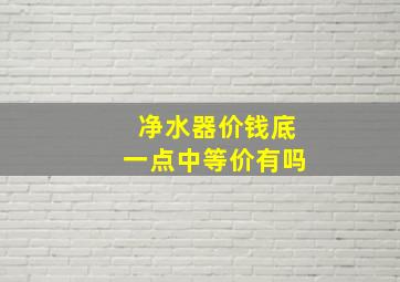 净水器价钱底一点中等价有吗