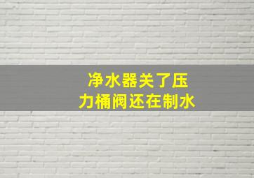 净水器关了压力桶阀还在制水