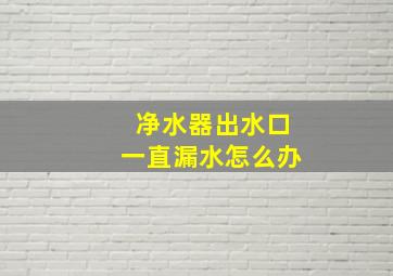 净水器出水口一直漏水怎么办