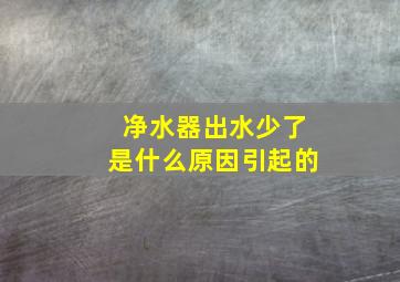 净水器出水少了是什么原因引起的