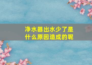 净水器出水少了是什么原因造成的呢