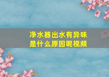 净水器出水有异味是什么原因呢视频