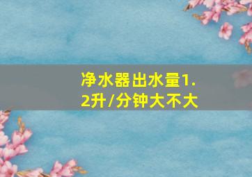 净水器出水量1.2升/分钟大不大